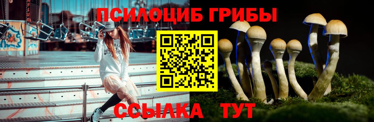 Галлюциногенные грибы Cubensis  Вход с VPN  Псилоцибиновые грибы Psilocybe  Волгодонск 